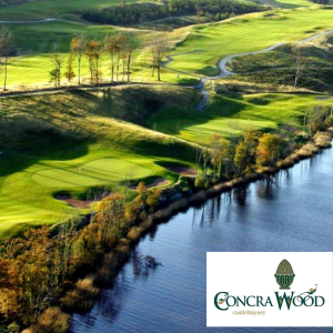 €100 Gift Card for Concra Wood